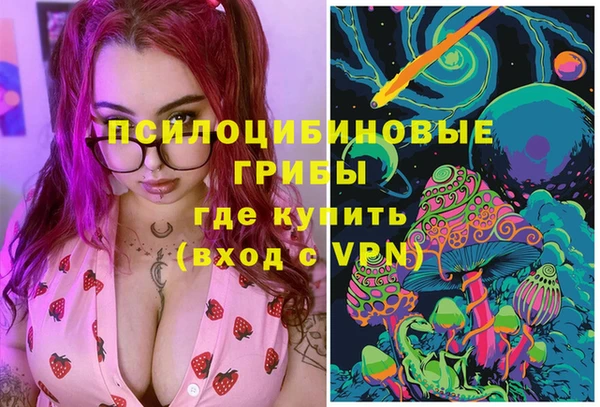 стафф Богданович