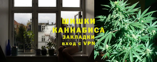 стафф Богданович